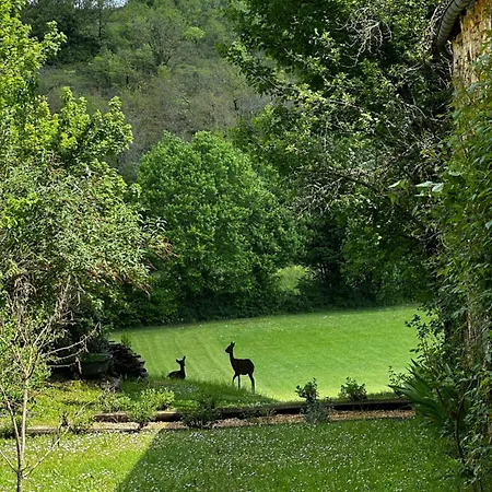 Dom wakacyjny Le Vallonnet Le Vigan (Lot)