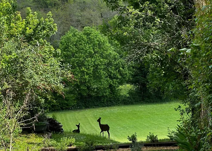 Tatil Evi Le Vallonnet Le Vigan (Lot)